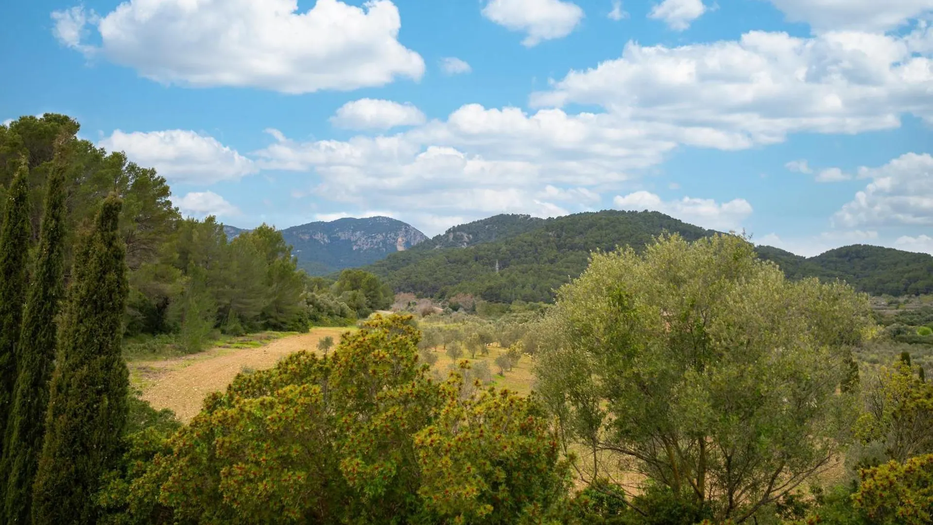 Villa Agroturismo Son Bauzanet Establiments