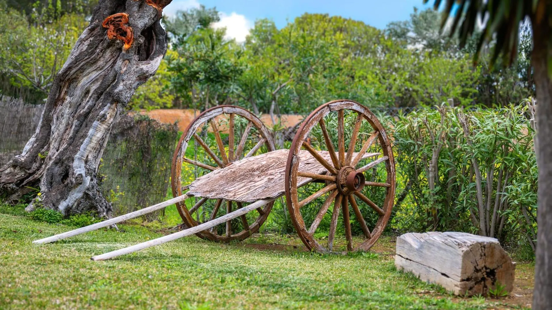 Agroturismo Son Bauzanet Establiments Villa